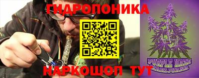 СК Свободный