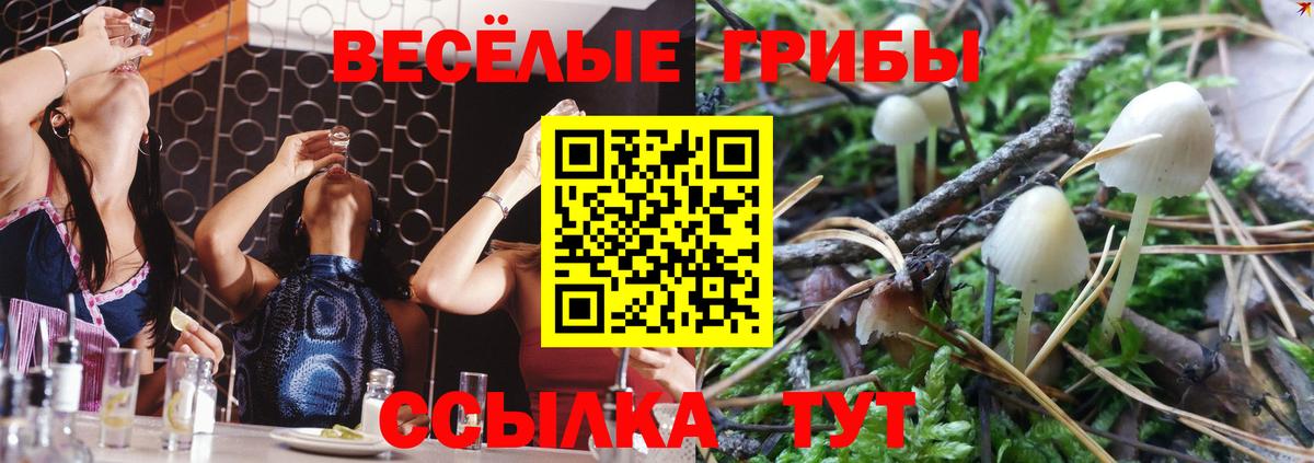 Псилоцибиновые грибы ЛСД Семилуки